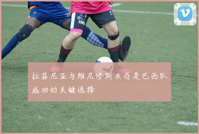 拉菲尼亚与维尼修斯共存是巴西队成功的关键选择